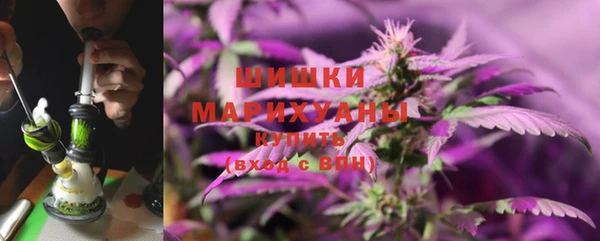спайс Арсеньев