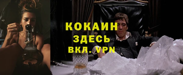 мет Аркадак