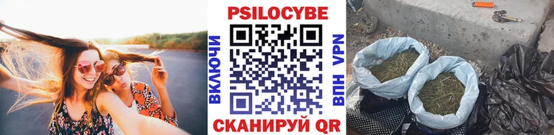 Галлюциногенные грибы мицелий  blacksprut зеркало  Новоаннинский  где продают наркотики 
